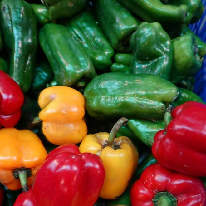 Jardins Paquette Assorted Pepper Plants in 9-cm Pot