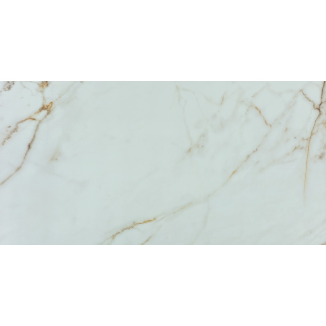 Faber 12-in x 24-in x 9-mm White and Gold Polished Carrara Porcelain Tiles - 8/box