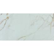 Faber Polished Carrara Porcelain Tiles - 12-in x 24-in - White and Gold