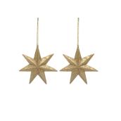 Holiday Living Star Ornament - Resin - Gold - 2-Pack