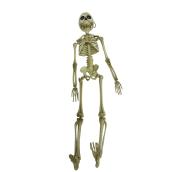 Célébrations BY Landon & Co. White Plastic 18.5-in H Halloween Decoration