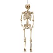 Squelette suspendu Holiday Living de 5 pi