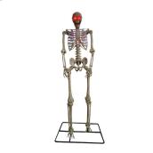 CELEBRATIONS BY L&CO 10-ft tall Posable Halloween Skeleton