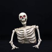 Célébrations BY Landon & Co. 3-ft LED Plastic Big Half Skeleton Halloween Decoration