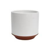 Allen + Roth Cylindric Ceramic Planter - 10-in - White