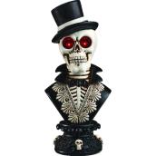 Holiday Living Skeleton with Light LED 16-in