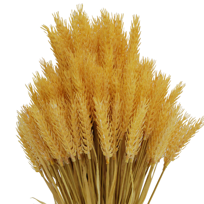 Holiday Living Faux Wheat Yellow Plastic 24-in