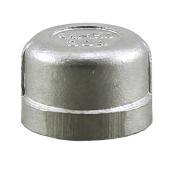 Plumbeeze 3/4-in diameter Stainless Steel Cap