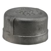 Plumbeeze 1/2-in diameter Stainless Steel Cap