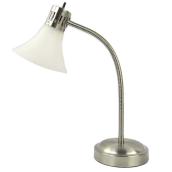 Desk Lamp - Plastic Shade - Gooseneck - Nickel