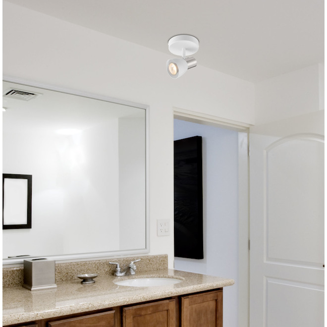 Ceiling Light - 1 Light - Metal/Glass - Brushed Nickel/White