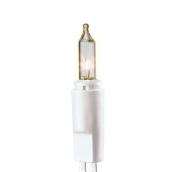 Set of 100 Incandescent Lights - White Wire - 21.9' - Clear