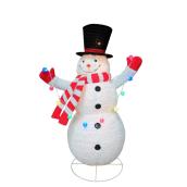 Bonhomme de neige duveteux illuminé, pop-up, 49 po x 30 po x 72 po, multicolore