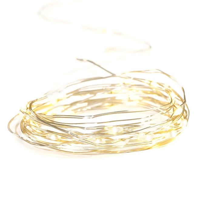 Celebrations BY L&CO Wire Light Set -  60 LED Microdot Lights - Warm White