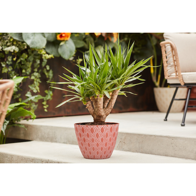 Allen + Roth Lapidus 1-Pack 15.1-in W x 12-in H Auburn Resin Planter