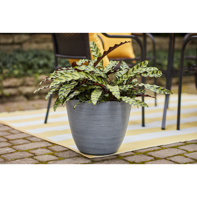 Allen + Roth 1-Pack 14.3-in W x 12.5-in H Lava Smoke Resin Planter