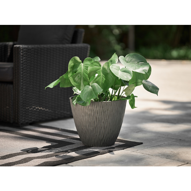 Bazik Laconia 13.7-in Black Resin Outdoor Planter PLF2215TKH | RONA