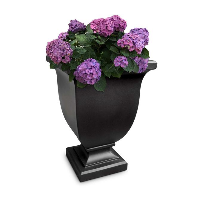 Mayne Augusta 26 x 18-in Black Resin Self-Watering Planter