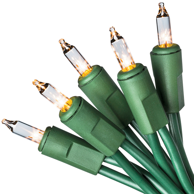 Holiday Living Light Net 4' x 6' Clear C0061916C RONA