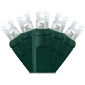 Jeu de 50 lumières concaves Holiday Living, 12,9', blanc froid