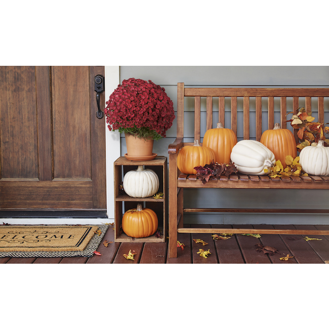 Holiday Living Decorative Pumpkin 12.8-in
