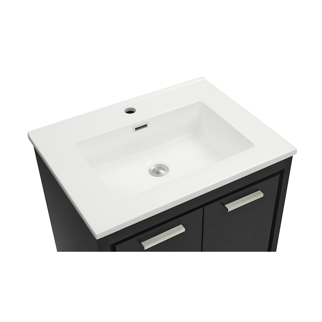 Meuble-lavabo Landon & Co. de style traditionelle de 25 po à 2 portes et 1 tiroir, gris