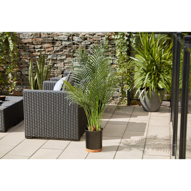 Allen + Roth 8-in W x 9.75-in H Black Metal and Acacia Wood Planters