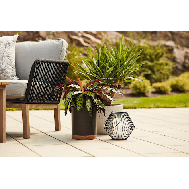 Allen + Roth 8-in W x 9.75-in H Black Metal and Acacia Wood Planters