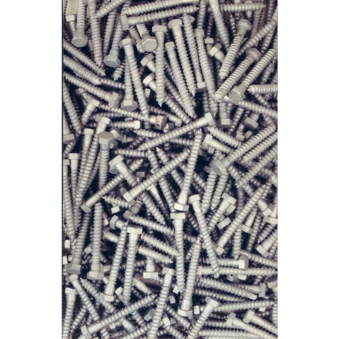 Hillman 1/2-in Hot-Dipped Galvanized Hex-Head Lag Screws - 25/Pk