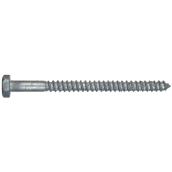 Hillman 1/2-in x 6-in Hot-Dipped Galvanized Steel Lag Bolts - 25/Pk