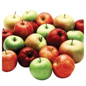 Arbre fruitier 5-en-1, pot n° 7, assorti