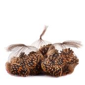 Scented "Pinecone" Decoration - Brown