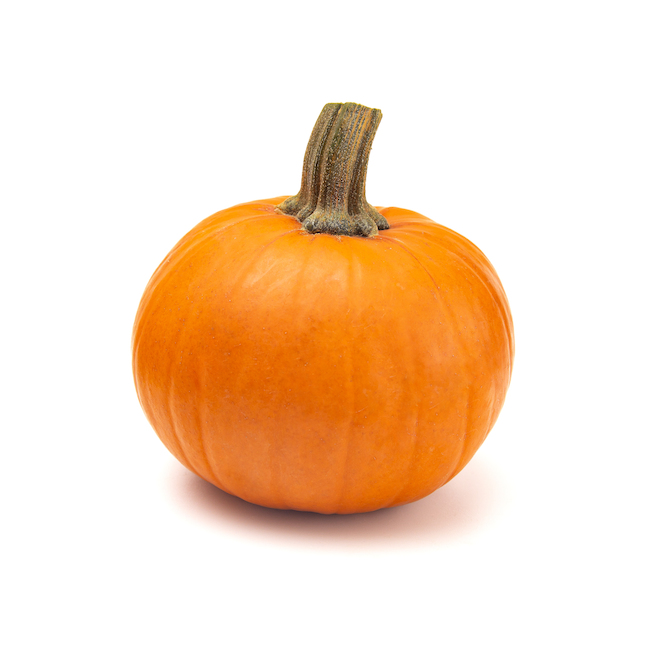 Green Plus Nurseries Wee-B Mini Pumpkin - Pack of 3