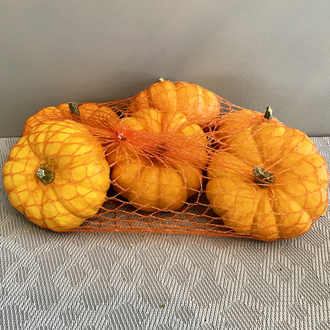 Green Plus Nurseries Mini Pumpkins - Pack of 3 | RONA