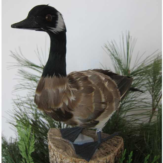 Green Plus Nurseries Goose Decorative Accessory