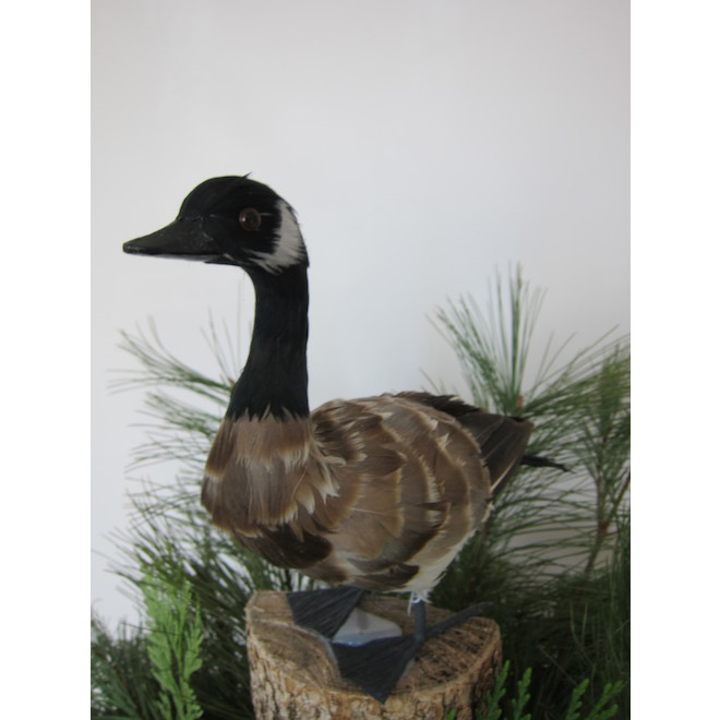 Green Plus Nurseries Owl Decoration Accessory Large White