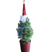Natural Decorative 10-in Green Spruce with Santa Claus and Christmas Lights