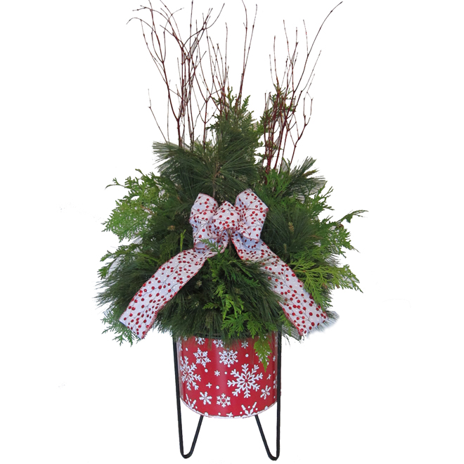 Green Plus Nurseries Seasonal Planter with Lush Greens Small Size in