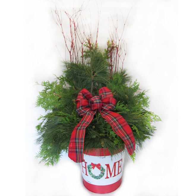 Green Plus Nurseries Seasonal Planter HOME with Lush Greens in 8.5in