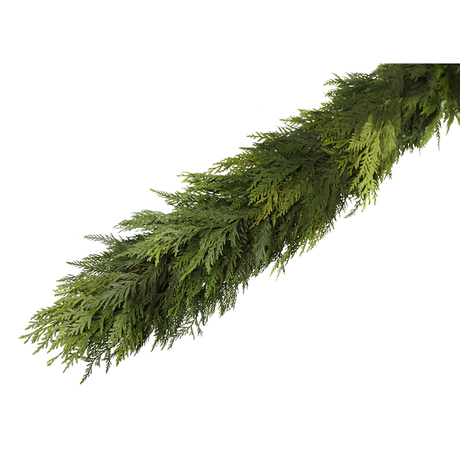 Green Plus 10-ft Green Cedar Roping 829525001923 | RONA