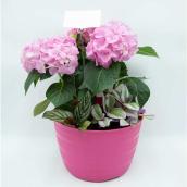 8-in Easter Mixed Planter - Pink