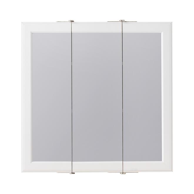 Project Source 24.25-in x 24-in Square Surface Medicine Cabinet with Mirror
