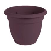 Bloem Ariana 1/Pack 10 x 8.5-in Merlot Burgundy Plastic Self-Watering Planter