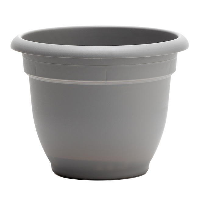 Bloem Ariana 1/Pack 6.5 x 5.1-in Charcoal Plastic Self-Watering Planter