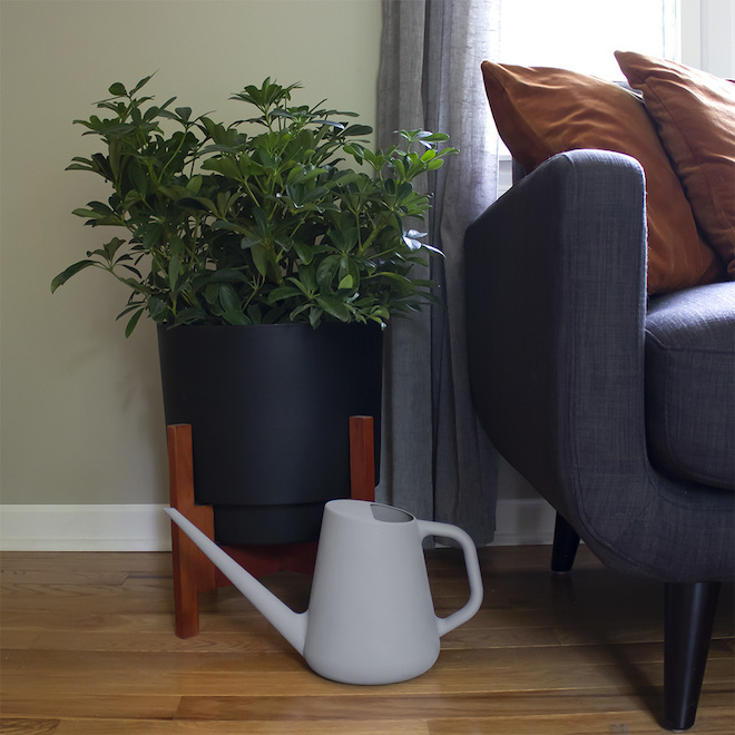 Bloem Fern 1 GA Grey Plastic Traditional Watering Can