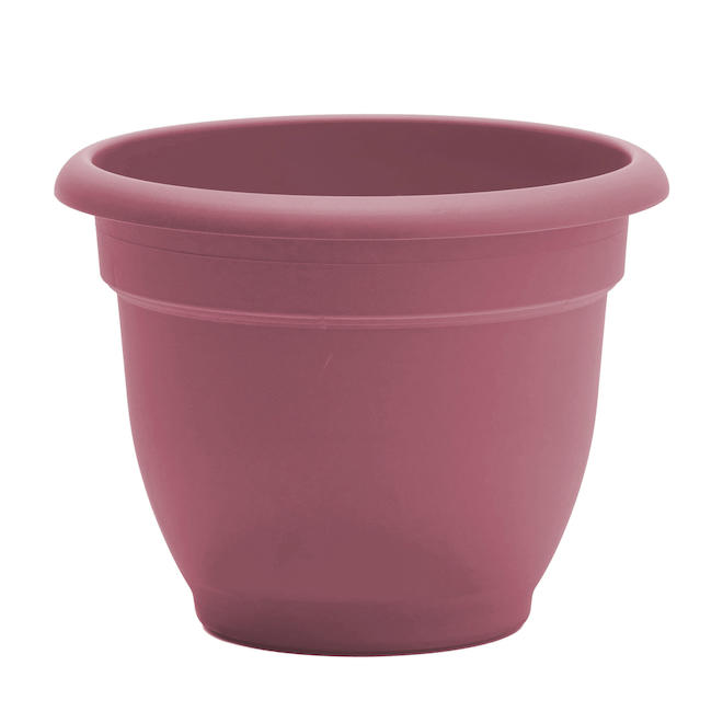 Bloem Ariana 10-in Dusty Pink Round Self-Watering Planter
