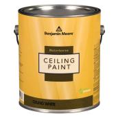 Waterborne Ceiling Paint - Ultra Flat - Base - 917 mL