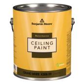 Peinture pour plafond à base d'eau, mat, 3,79 l