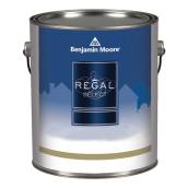 Exterior Paint Soft Gloss Finish 3.667 L