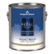 Exterior Paint - Soft Gloss Finish - Base 2 - 916 ml
